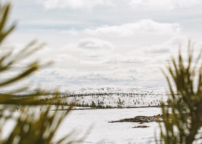 River Camping Camping Ivalo